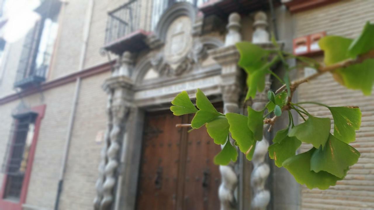 Patio San Jeronimo Casa De Arte Lägenhet Granada Exteriör bild